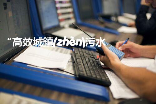 “高效城鎮(zhèn)污水處理流程，守護碧水藍(lán)天新篇章”